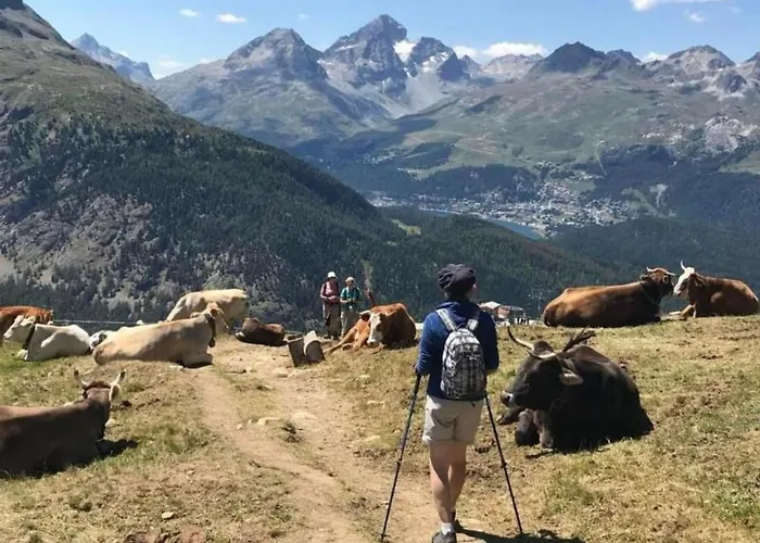 Curtins18 By Interhome Lägenhet