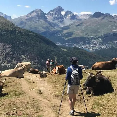 Curtins18 By Interhome Apartment